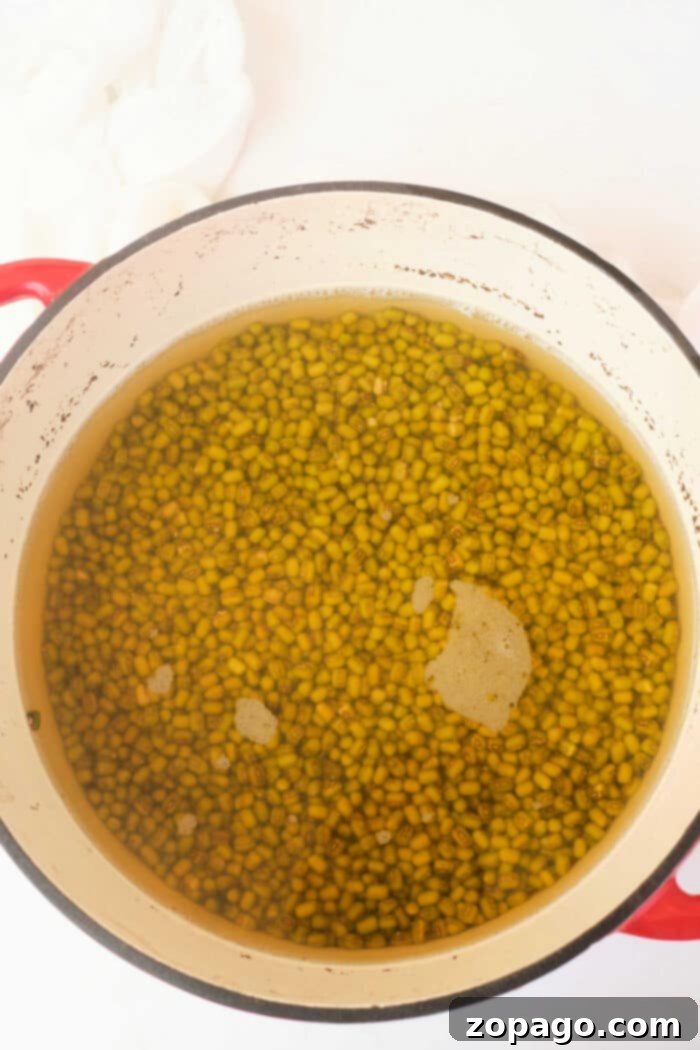 Mastering Mung Bean Cookery 4 Detailed infographic showing cook times for various mung bean types