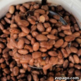 Perfect Slow Cooker Pinto Beans 6 A ladle scoops cooked pinto beans from a white bowl, showcasing a delicious result of the perfect pinto beans in crockpot recipe.