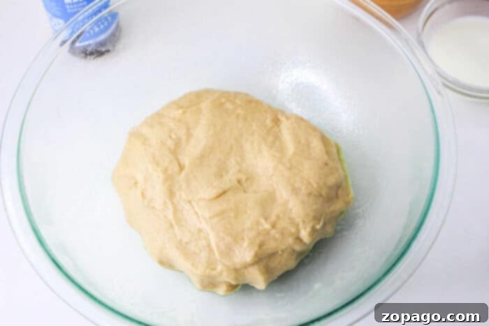 Sweet Peanut Butter Rolls 4 Homemade sweet roll dough stretched and proofed, showcasing its elasticity.