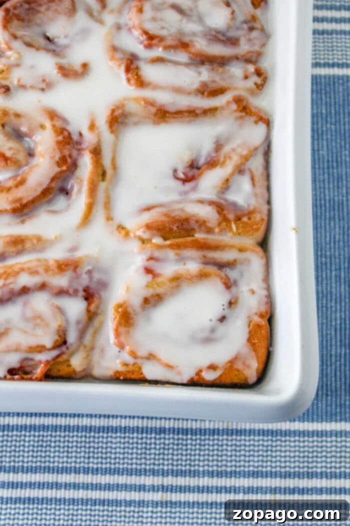 Sweet Peanut Butter Rolls 6 A close-up of baked Peanut Butter Cinnamon Rolls, beautifully glazed and arranged.