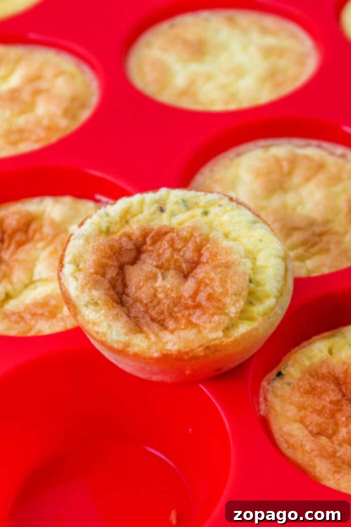 Muffin Tin Crustless Mini Cheese Quiches 2 Mini Cheese Quiche