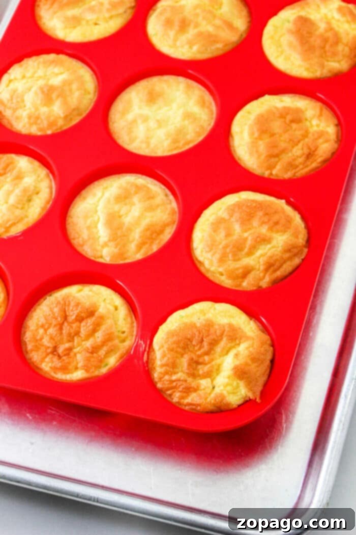 Easy Cheesy Crustless Quiche Bites 4 Healthy Petite Crustless Quiche Bites with cheese, ideal for low-carb meals