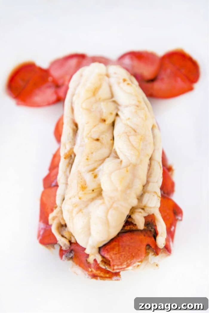 Instant Pot Perfect Lobster Tails 2 Close-up of a perfectly pressure-cooked lobster tail, showing the tender white meat and vibrant red shell, ready to be enjoyed.