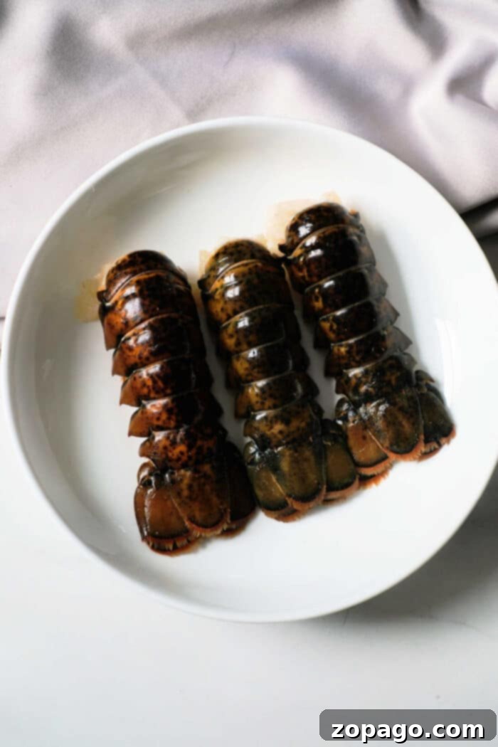 Instant Pot Perfect Lobster Tails 3 Two thawed lobster tails, butterflied and seasoned with garlic butter, ready for pressure cooking in an Instant Pot.