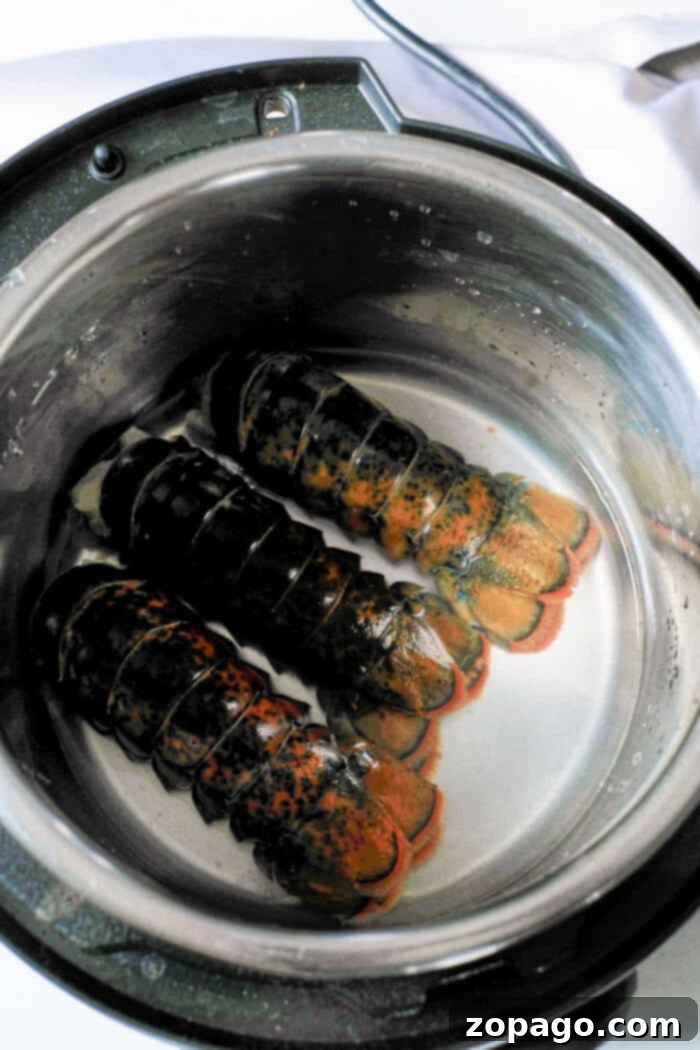 Instant Pot Perfect Lobster Tails 4 A selection of cooked Instant Pot lobster tails, vibrant and perfectly steamed, arranged for a delicious seafood meal.