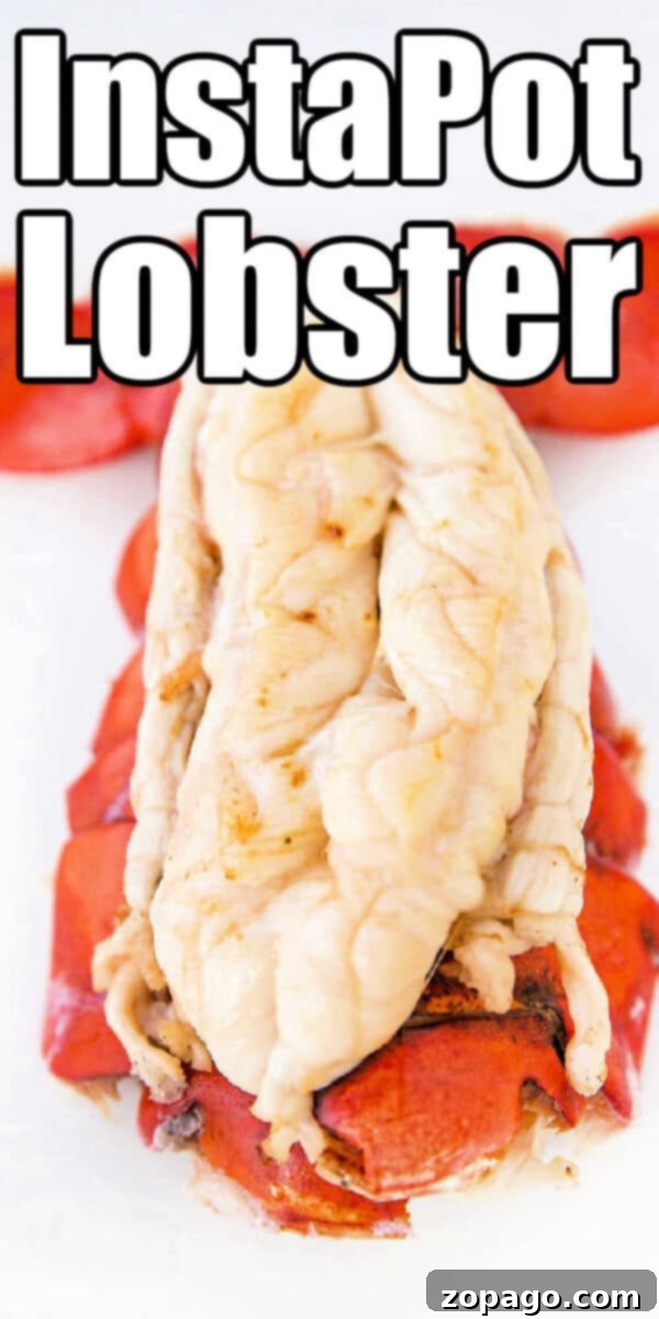 Instant Pot Perfect Lobster Tails 7 Two steamed lobster tails, ready for dipping in a bowl of melted garlic butter, highlighting a delicious meal.