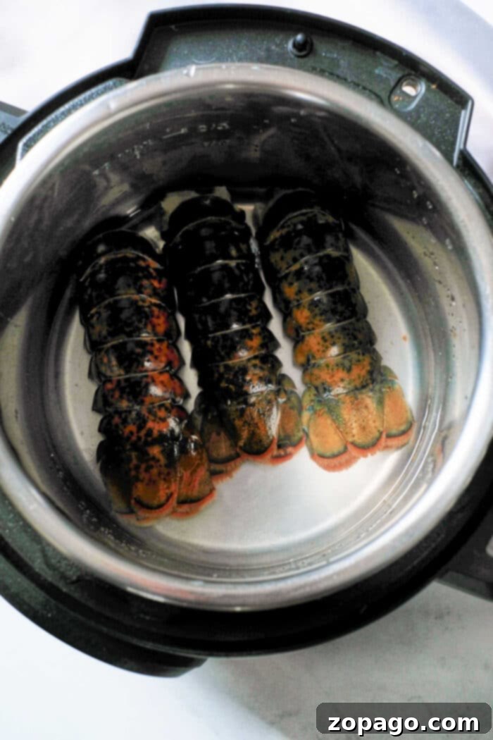 Instant Pot Perfect Lobster Tails 8 A close-up of a pressure-cooked lobster tail, showing the exposed meat and the rich, buttery sauce ready to be drizzled.