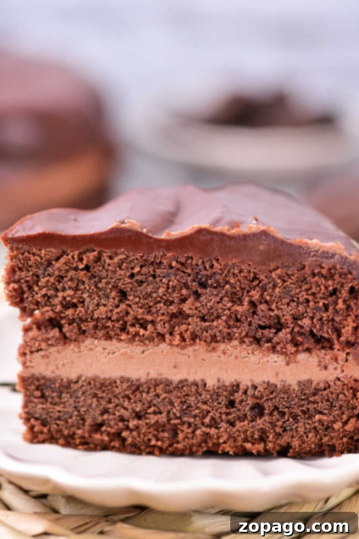 Decadent Chocolate Coffee Cake 7 A slice of coffee chocolate cake, showing the layers and ganache, with a fork ready to enjoy.