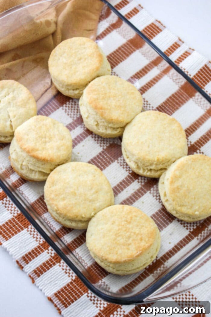 A baking sheet filled with perfectly shaped shortening biscuits, ready for the oven.