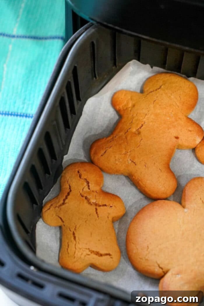 Air Fryer Cookie Dough Delights 6 Air Fryer Pillsbury Cookie Dough Batch