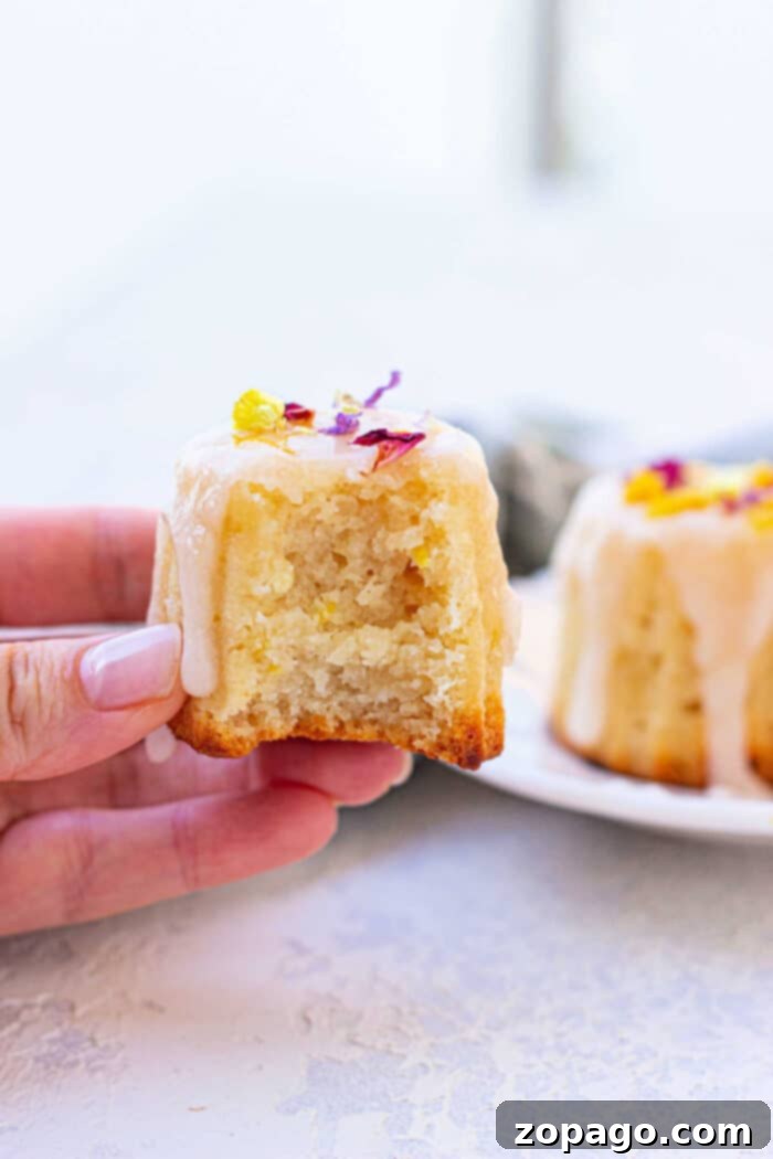 Tropical Air Fryer Coconut Muffins 2 Air Fryer Coconut Muffins - Moist, Tropical, and Easy to Make