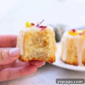 Air Fryer Coconut Muffins