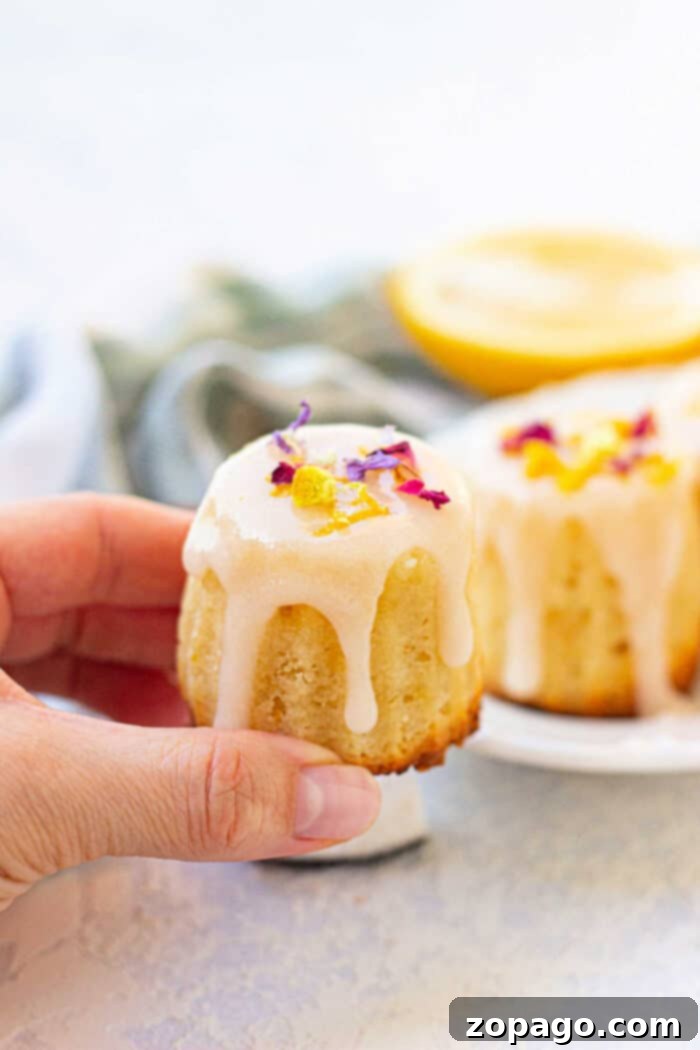 Tropical Air Fryer Coconut Muffins 6 Air Fryer Mini Muffins - Golden Brown and Delicious