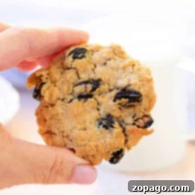 A hand holding a delightful homemade oatmeal raisin cookie, its golden surface suggesting it was perfectly crisped in an air fryer, with a softly blurred background enhancing its delicious appeal.
