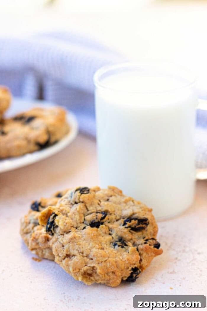 Perfect Air Fryer Oatmeal Cookies 8 Perfectly golden oatmeal cookies arranged neatly inside an air fryer basket.