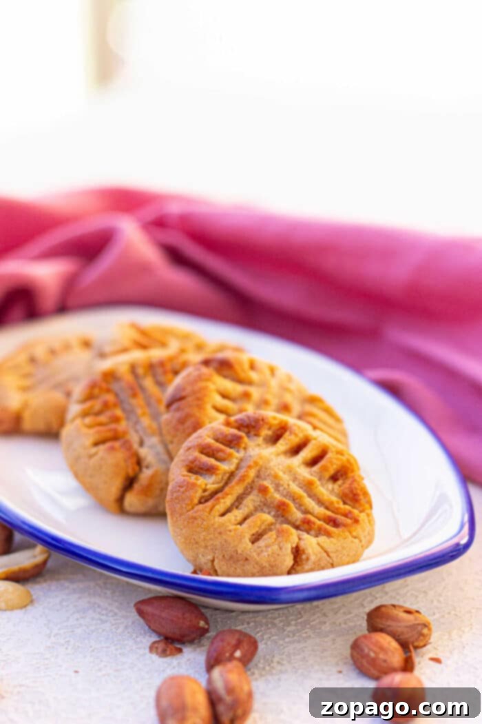 Golden Air Fried Peanut Butter Delights 6 Small batch air fryer peanut butter cookies cooling on a wire rack, ready to be enjoyed.