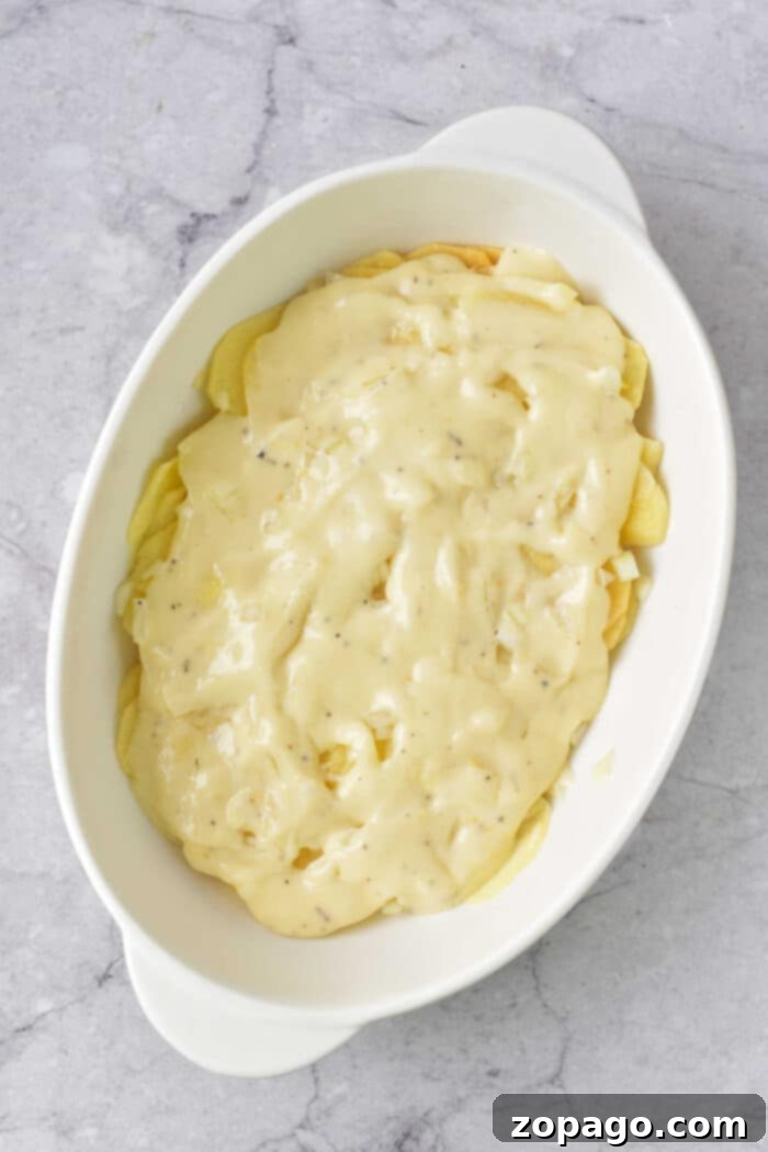 Creamy Dairy-Free Scalloped Potatoes 5 Scalloped Red Potatoes - A large serving spoon scooping creamy scalloped red potatoes from a casserole dish.