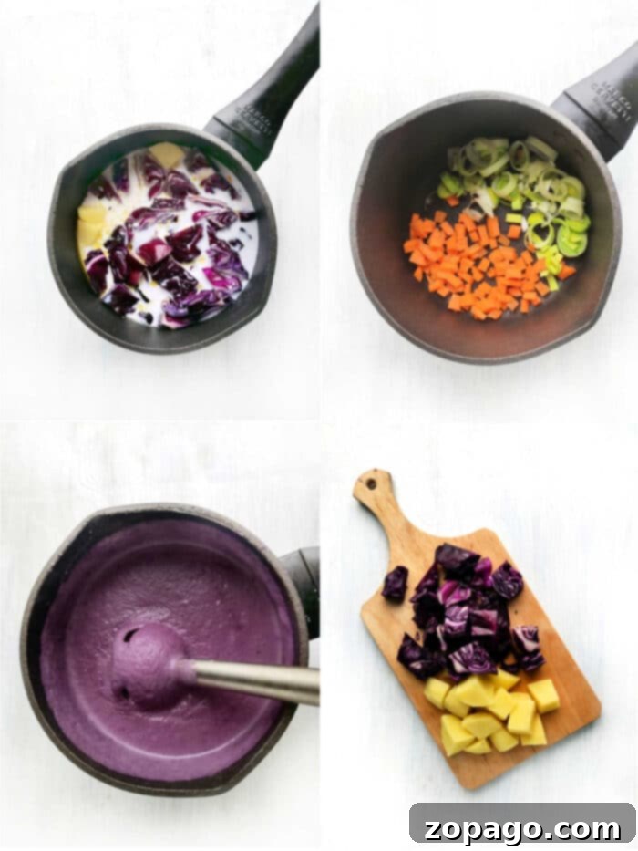 Creamy Vegetable Soup 4 Purple Cabbage Soup