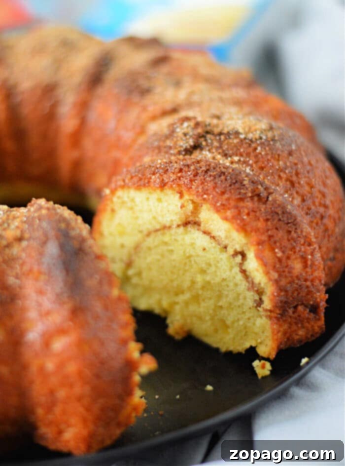 Effortless Snickerdoodle Bundt Cake 2 Delicious cinnamon sugar bundt cake with a swirled interior