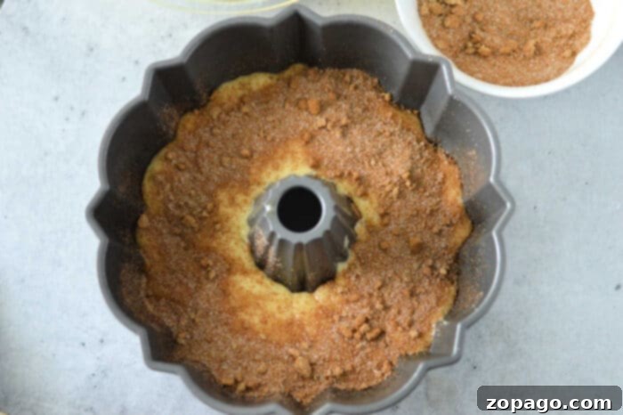 Effortless Snickerdoodle Bundt Cake 4 A slice of Snickerdoodle Bundt Cake revealing its cinnamon sugar swirl.