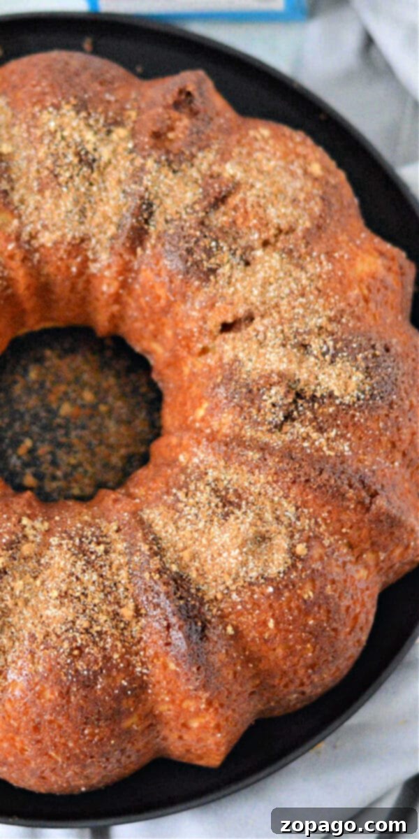 Effortless Snickerdoodle Bundt Cake 6 A beautifully sliced Snickerdoodle Bundt Cake showcasing its cinnamon sugar layers.