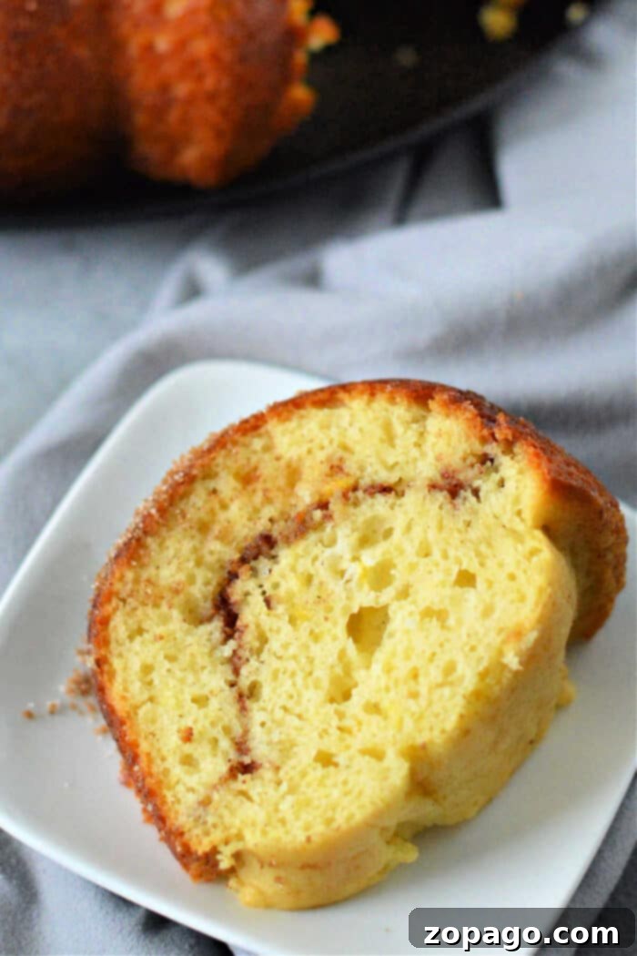 Effortless Snickerdoodle Bundt Cake 7 The full Snickerdoodle Cake, elegantly presented.