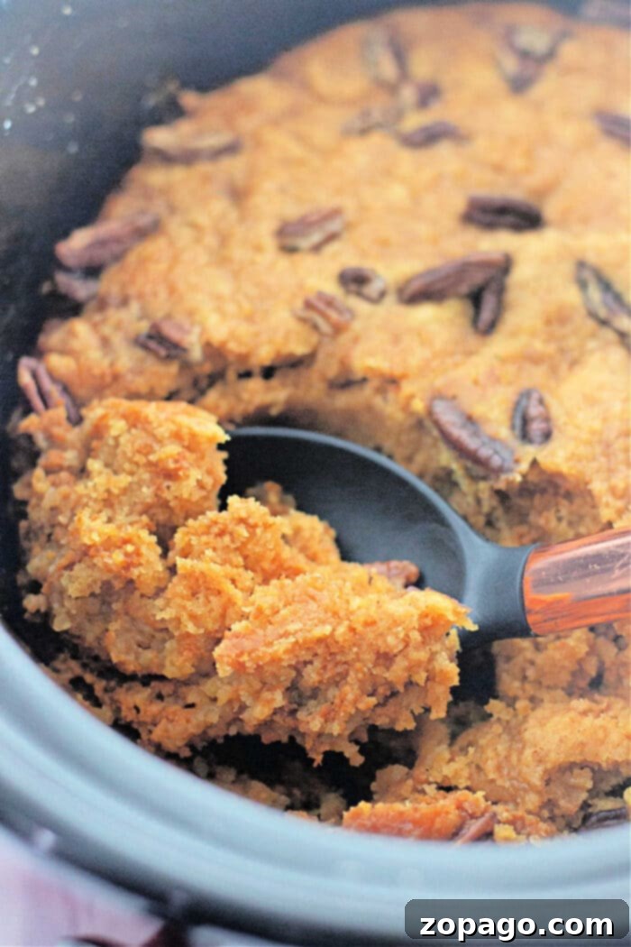 A close-up of a warm crockpot pumpkin dump cake, with a serving spoon gracefully scooping out a generous portion, revealing its moist and tender interior.