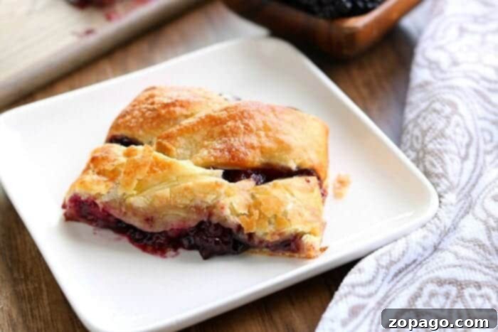 Puff Pastry Morning Delights 3 Puff pastry strudel with fruit filling
