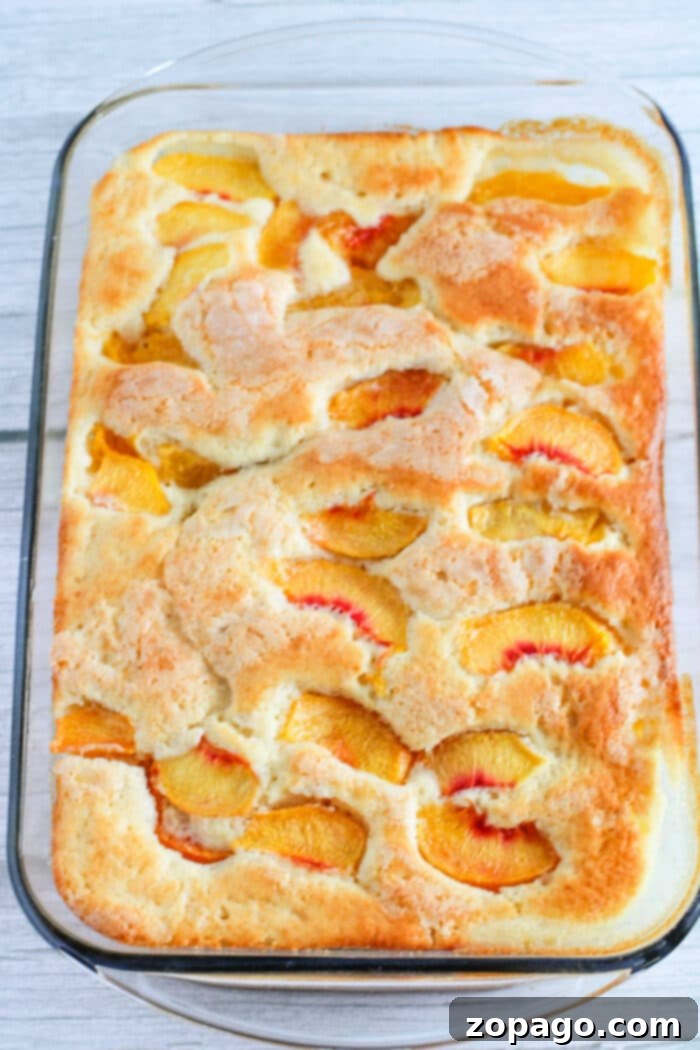 Fresh Peach Crumble 4 Homemade peach cake made with fresh, juicy peaches, topped with a golden-brown crust.
