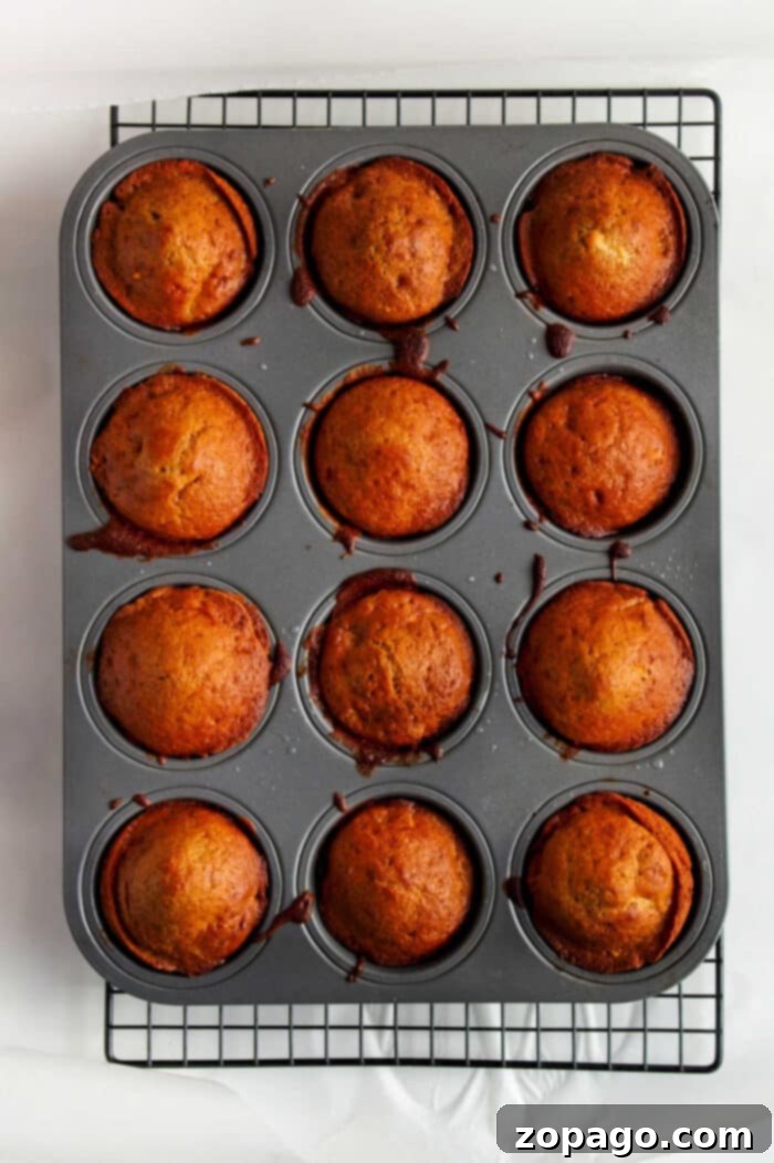 Sweet & Spiced Apple Fritter Muffins 5 A perfectly arranged shot of baked apple fritters nestled in a muffin tin, highlighting their uniform shape and inviting golden-brown tops. This image emphasizes the ease and beauty of using a muffin tin for this recipe.