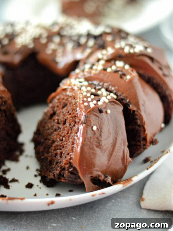 Super Moist Cake Mix with Pudding and Sour Cream 2 A decadent chocolate bundt cake, prepared with a doctored cake mix featuring pudding and sour cream, elegantly sits on a white plate. It's generously topped with rich chocolate frosting and delicate white sprinkles. A perfect slice has been removed, showcasing the incredibly moist and tender interior achieved by the unique addition of pudding to the cake mix recipe.