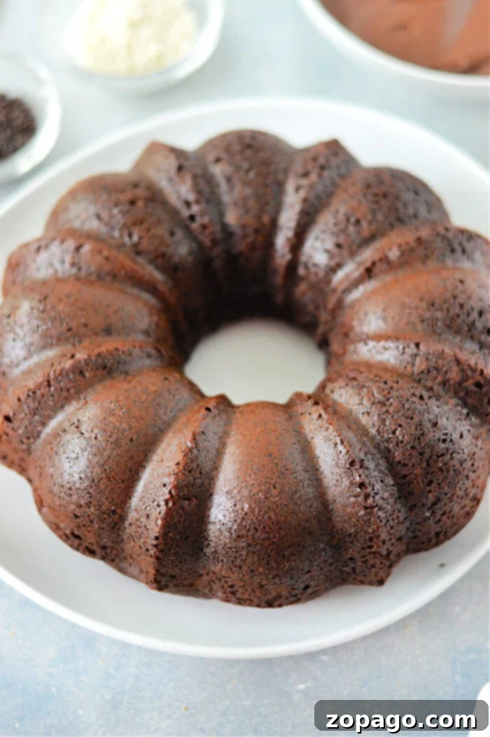 Super Moist Cake Mix with Pudding and Sour Cream 5 A beautifully baked chocolate bundt cake, prepared using a doctored cake mix with pudding, is presented on a pristine white plate. The cake boasts a deep, rich brown hue and the characteristic intricate ridged design of a bundt pan. The background is softly blurred, showing hints of bowls that might have held ingredients or toppings, suggesting a recent baking endeavor.
