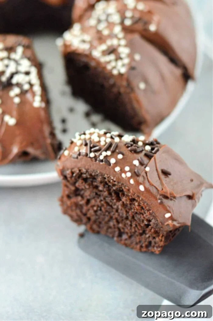 Super Moist Cake Mix with Pudding and Sour Cream 6 A close-up shot of a perfectly cut slice of chocolate cake, prepared using a cake mix enhanced with pudding. The slice is generously topped with smooth chocolate frosting and adorned with an inviting mix of white and dark round sprinkles. A black spatula delicately holds the slice, while the remainder of the elegant bundt cake is visible in the background on a pristine white plate, promising more deliciousness.