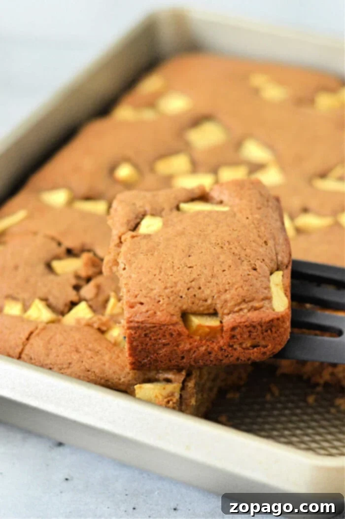 Easy Apple Cake from a Box Mix 5 A slice of apple cake with cake mix is being lifted from a baking pan with a spatula.