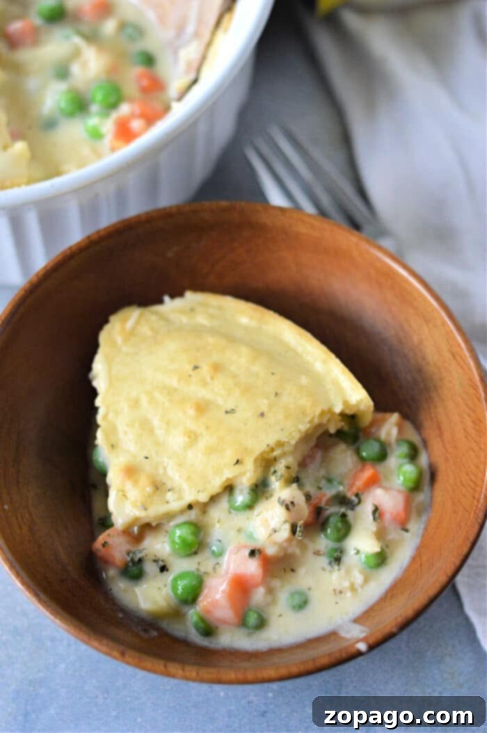 Easy Bisquick Chicken Cobbler 7 Cobbler with Bisquick