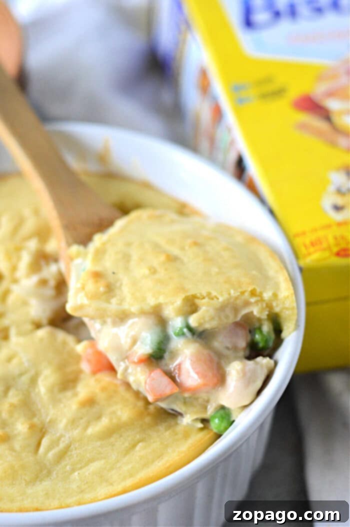 Easy Chicken Cobbler Bake with Bisquick 9 Close up of a slice of Bisquick Chicken Cobbler with visible layers of chicken, vegetables, and creamy sauce under a golden crust.
