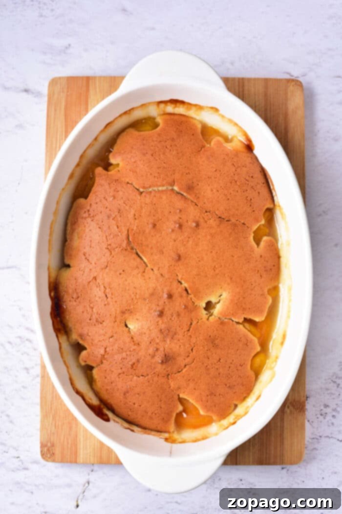 What to Make with Apricots