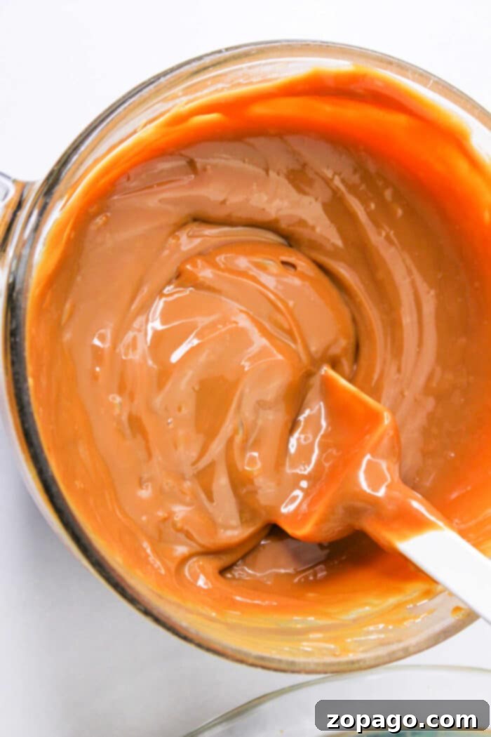 Slow Cooker Dulce de Leche 2 One Ingredient Caramel