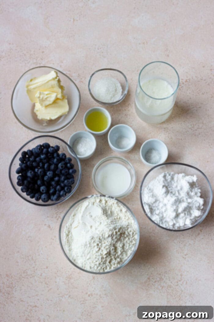Fluffy Blueberry Biscuits 3 Easy Homemade Blueberry Biscuits