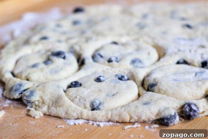 Fluffy Blueberry Biscuits 5 How to Bake Biscuits with Blueberries on a baking sheet