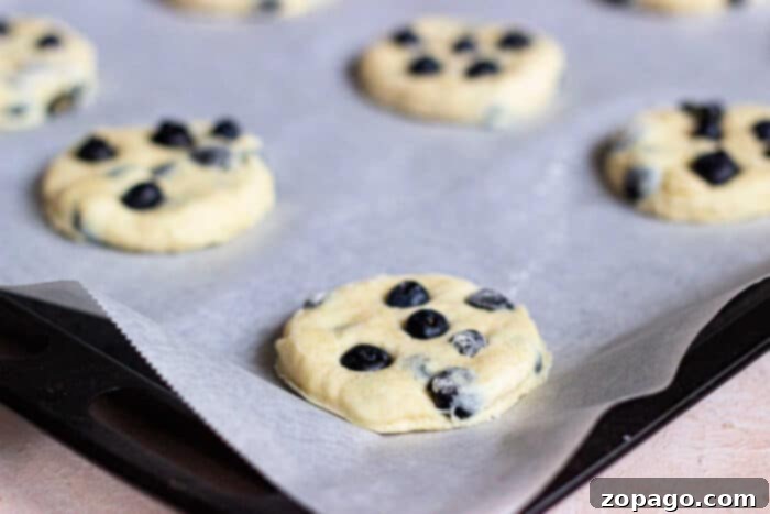 Fluffy Blueberry Biscuits 6 Glazed Blueberry Biscuits on a plate