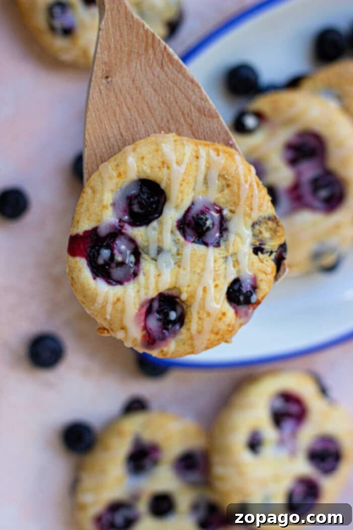 Fluffy Blueberry Biscuits 7 Biscuits with Blueberries on a cooling rack