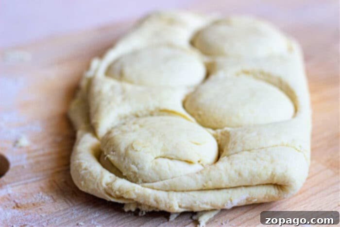 Pillowy Plant-Based Biscuits with Savory Gravy 3 A close-up of unbaked biscuit dough, precisely cut into rounds and arranged on a flour-dusted cutting board, showcasing the preparation of no-butter biscuits.