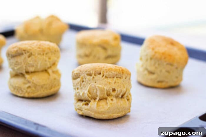 Pillowy Plant-Based Biscuits with Savory Gravy 4 A stack of golden, flaky vegan biscuits, one split open to reveal its soft interior, is presented alongside a small bowl of creamy vegan gravy.