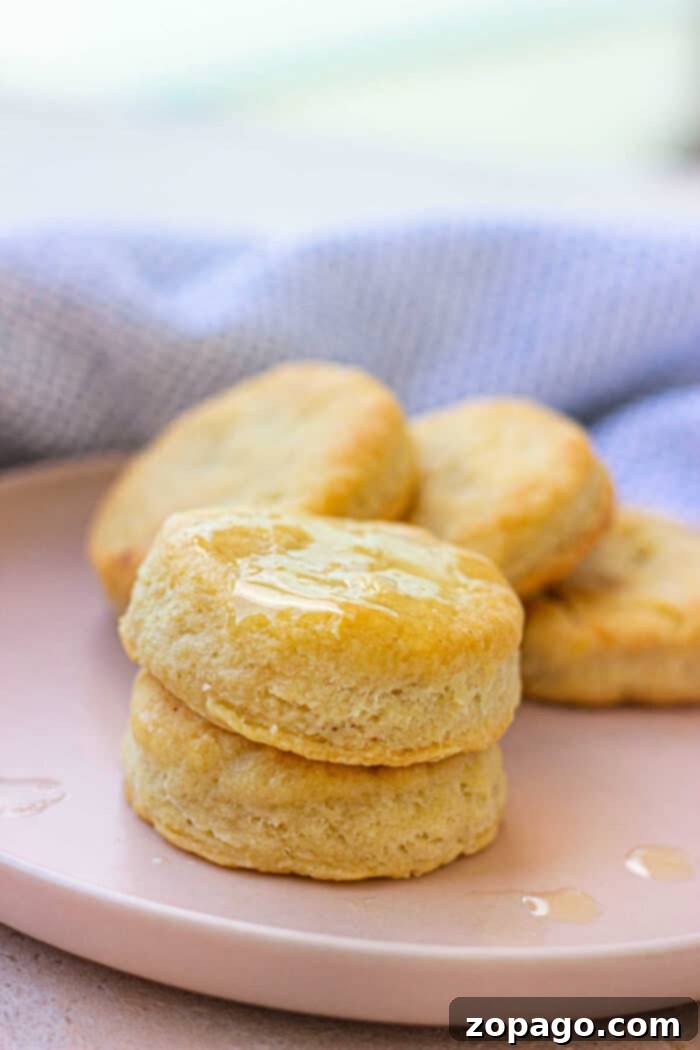Campfire Biscuits 7 A Dutch oven filled with golden, fluffy biscuits, ready to be served from the pan.