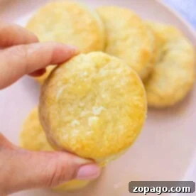 A hand holding a freshly baked Dutch Oven biscuit over a plate of warm, golden biscuits.