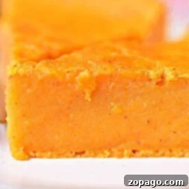 Crustless Pumpkin Pie Recipe