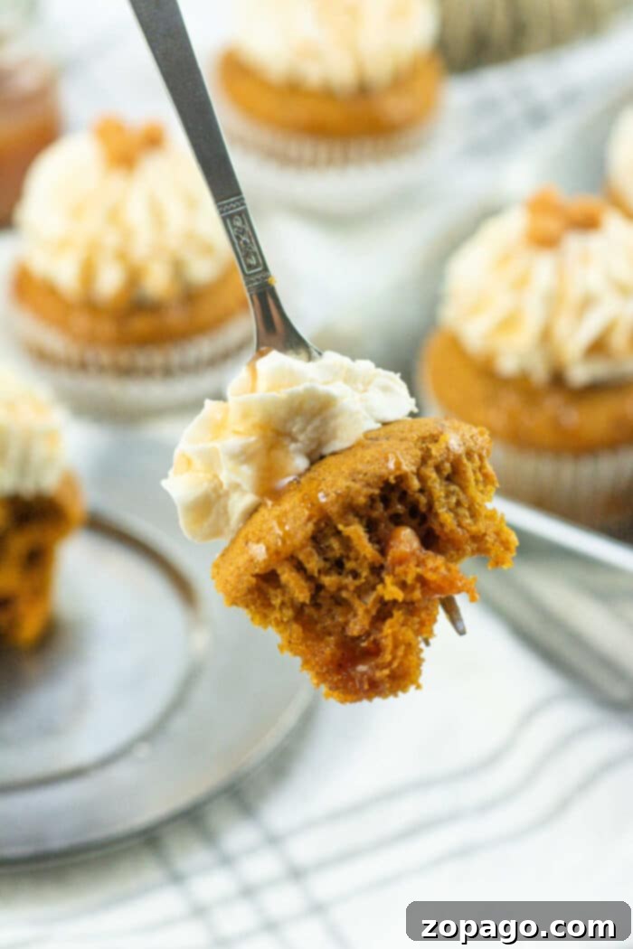 Autumns Best Pumpkin Pie Cupcakes 6 Cupcakes with Canned Pumpkin - freshly frosted