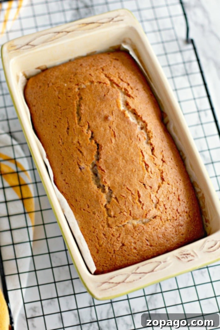 Moist Cherry Bread Recipe - Perfect for Brunch or Dessert A freshly baked loaf of Cherry Bread in a rectangular ceramic pan rests on a cooling rack, its sweet aroma filling the air.