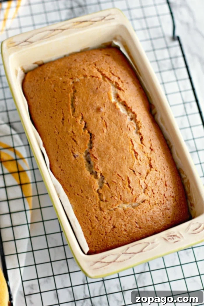 Cherry bread recipe for Valentine's Day cupcakes or loaf. #cherrybread #cherries #sweetbread #cherryrecipes A freshly baked loaf of Cherry Bread in a rectangular ceramic pan rests on a cooling rack, its sweet aroma filling the air.